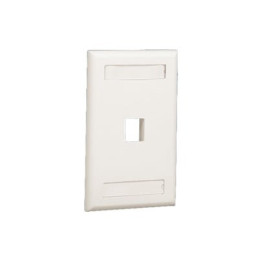 Placa de Pared Vertical, Salida Para 1 Puerto Keystone, Con