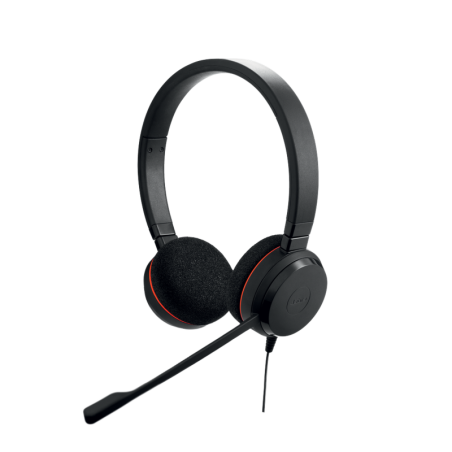 Jabra Evolve 20 Duo con conexión USB, micrófono con cancelac