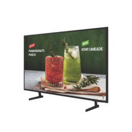 Television LED Profesional de 65" - UHD 4K 3840x2160p - Entr