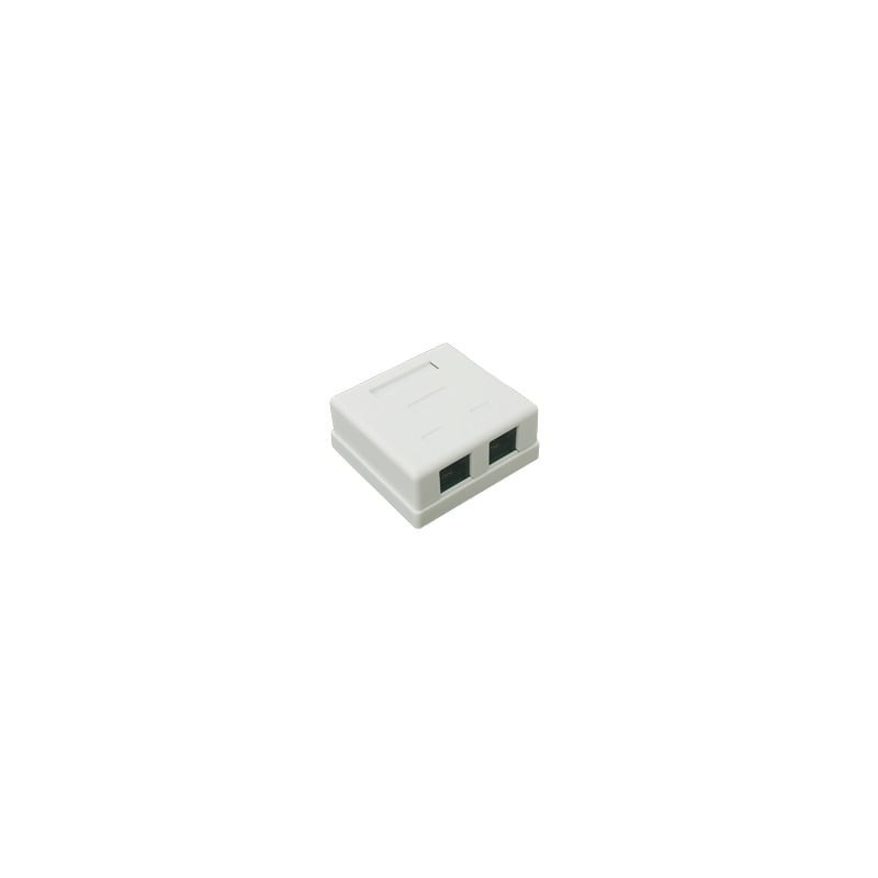 Caja de pared con Jack UTP Cat5e y Jack RJ11 telefónico