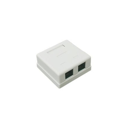 Caja de pared con Jack UTP Cat5e y Jack RJ11 telefónico